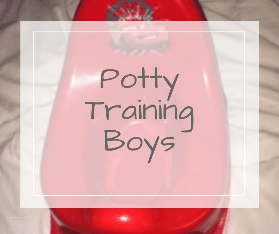 Potty Training Boys