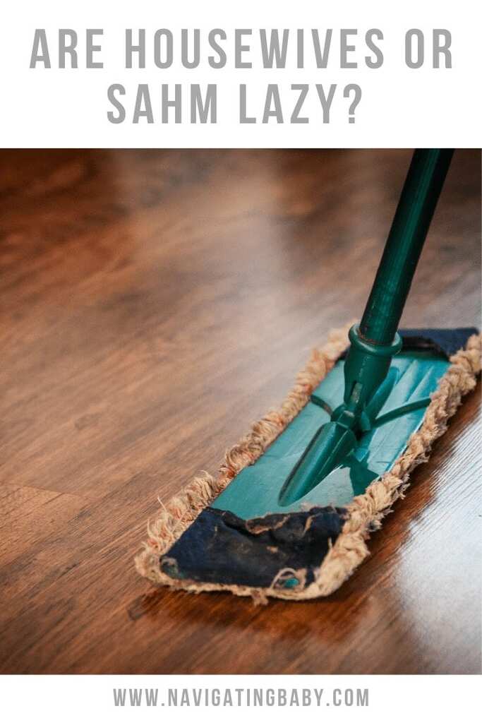 are housewives lazy