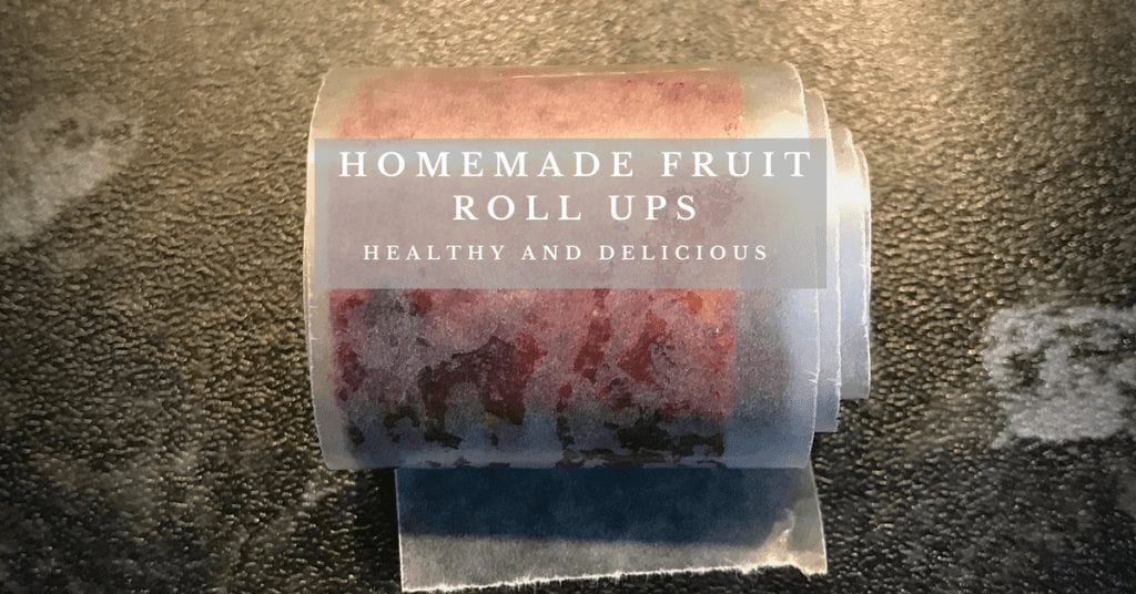 homemade fruit roll ups
