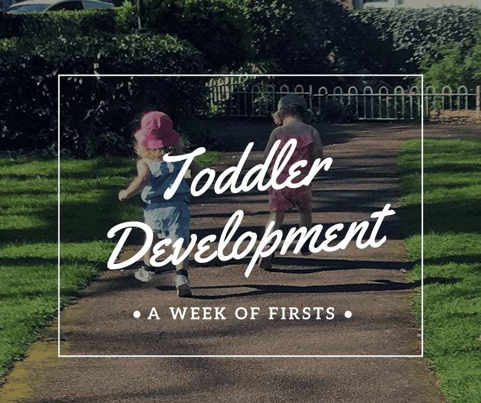 Toddler development