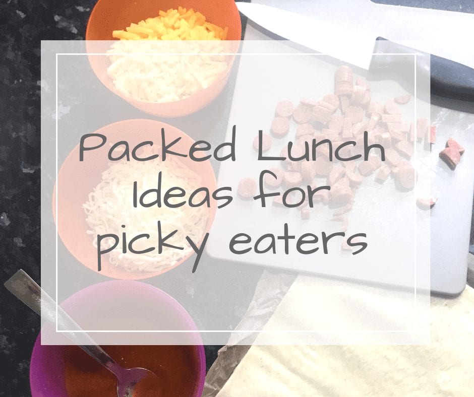 school lunch ideas for picky eaters