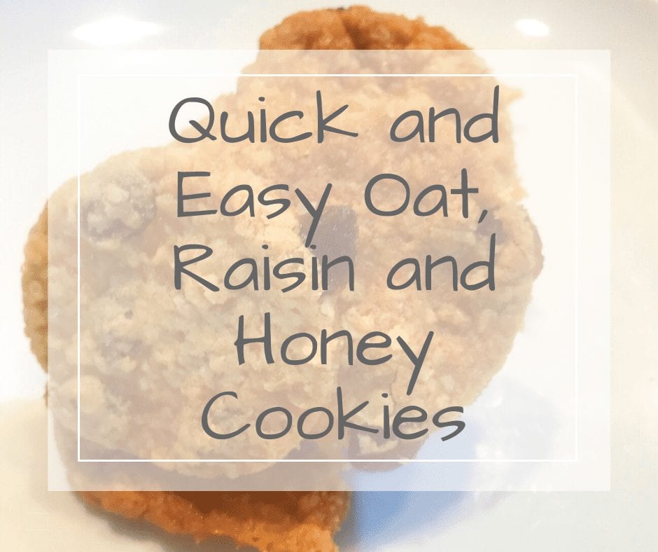 Quick and easy oat cookies