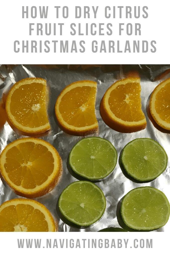 How to dry Citrus fruit slices 683x1024 1