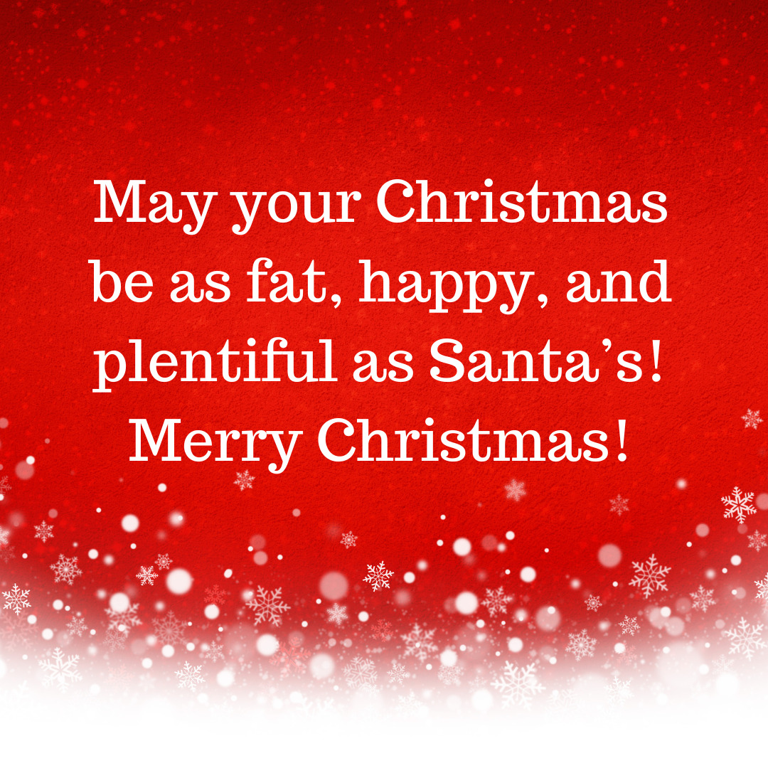 May your Christmas be as fat happy and plentiful as Santss Merry Christmas 4