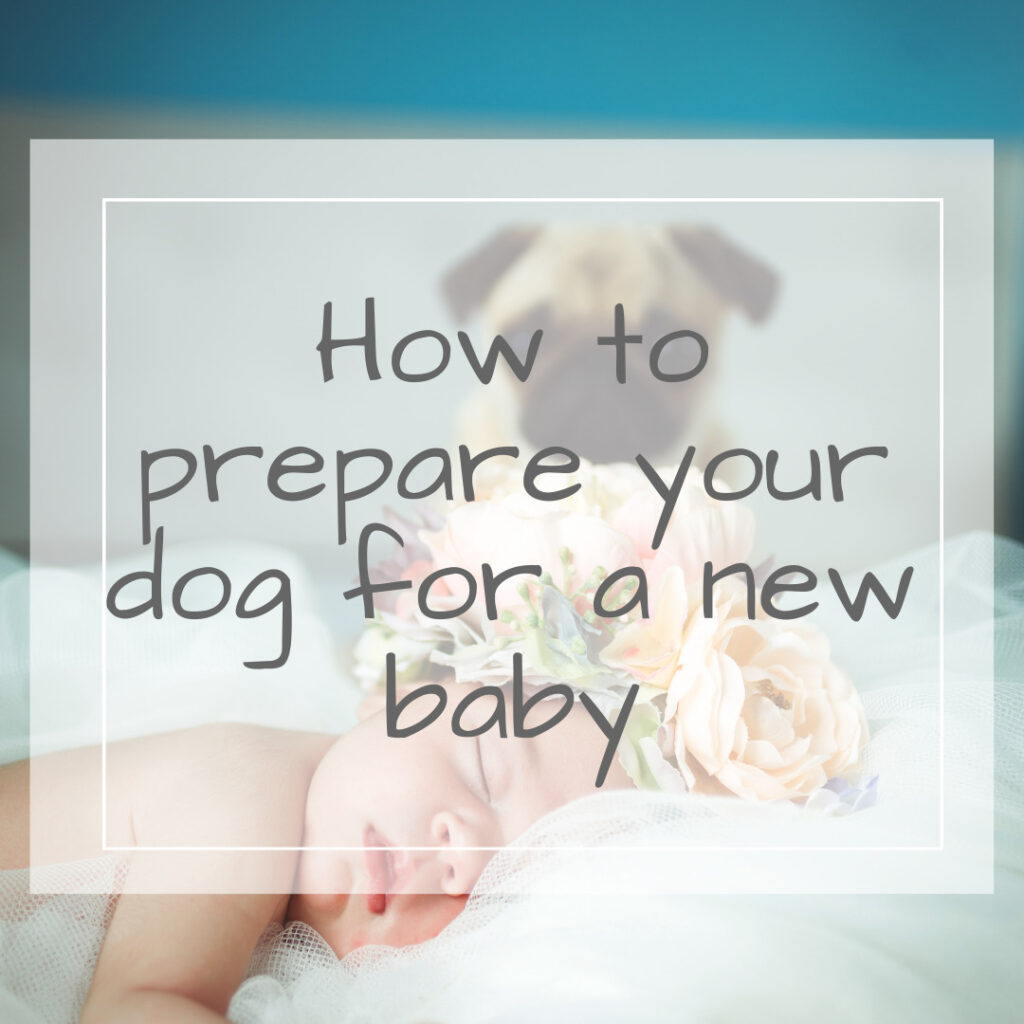 how to prepare your dog for a new baby